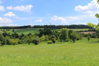 Ulm, Baden-Wuerttemberg, Almanya 'da orman, çayır ve mavi gökyüzü ile güzel bir yaz manzarası..