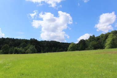 Ulm, Baden-Wuerttemberg, Almanya 'da orman, çayır ve mavi gökyüzü ile güzel bir yaz manzarası..