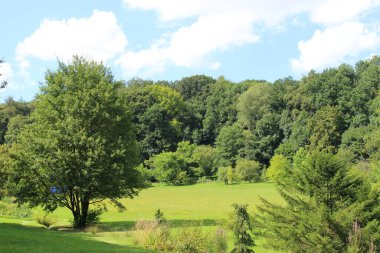 Ulm, Baden-Wuerttemberg, Almanya 'da orman, çayır ve mavi gökyüzü ile güzel bir yaz manzarası..