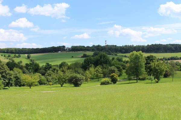 Ulm, Baden-Wuerttemberg, Almanya 'da orman, çayır ve mavi gökyüzü ile güzel bir yaz manzarası..