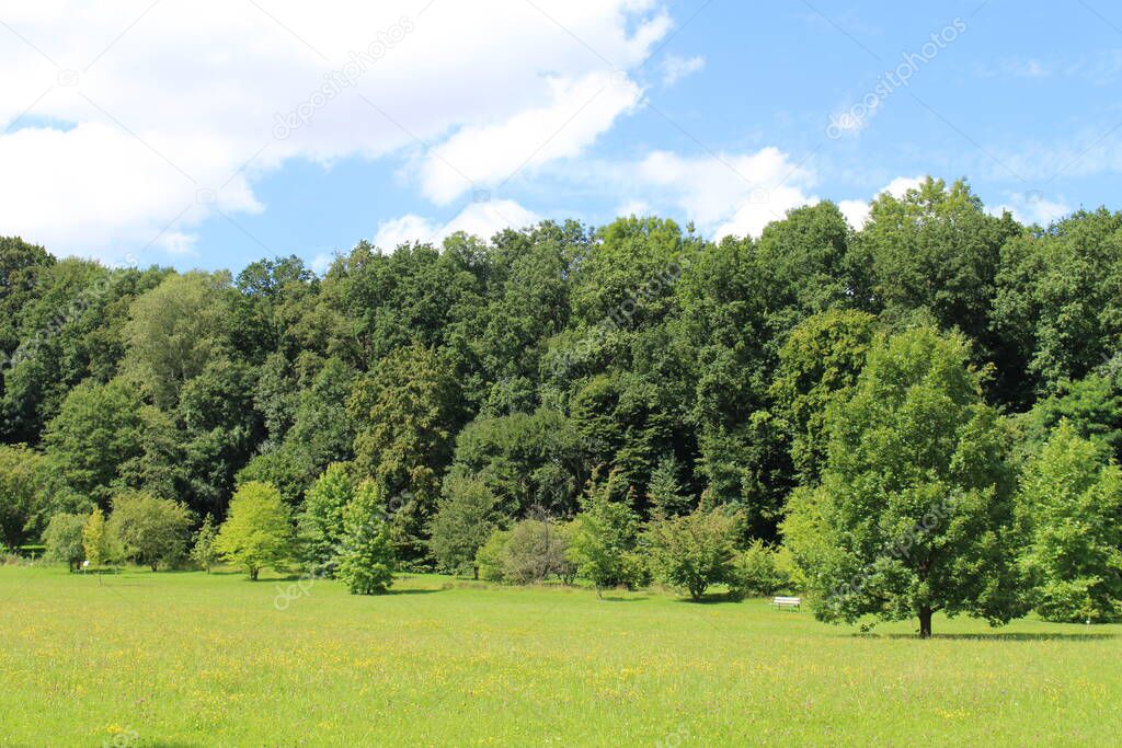 Beautiful summer landscape with forest, meadow and blue sky in Ulm, Baden-Wuerttemberg, Germany.