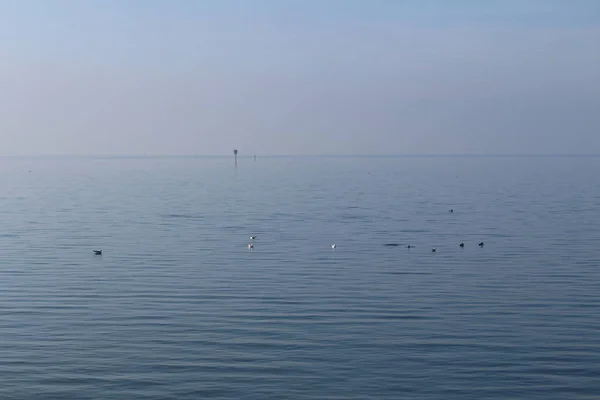 Lago Constance Retirado Porto Bregenz Dia Ensolarado Janeiro Vorarlberg Áustria — Fotografia de Stock