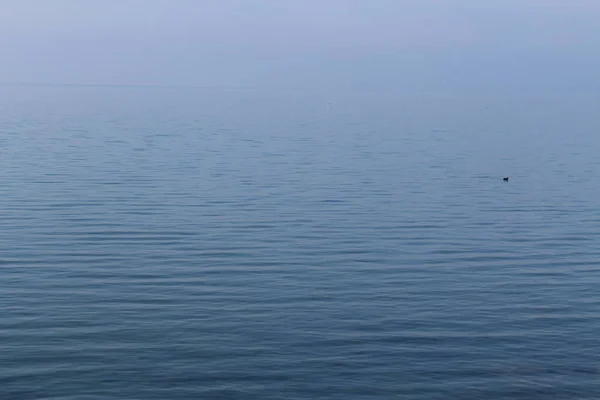 Lago Constance Retirado Porto Bregenz Dia Ensolarado Janeiro Vorarlberg Áustria — Fotografia de Stock