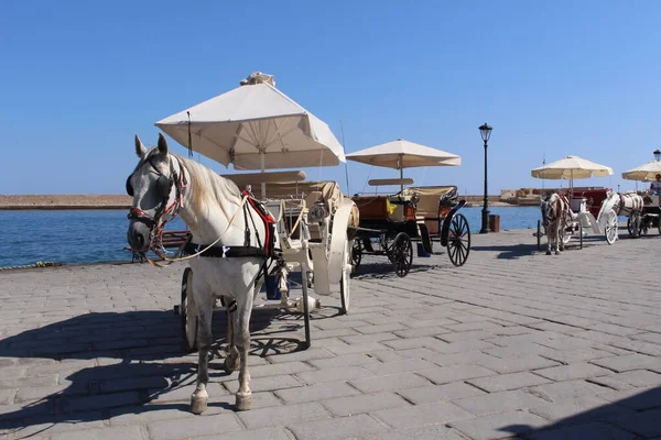 Chania Crete Island Greece July 2016 Horse Drawn Carriages Waiting Stock Image