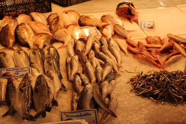 Chania Crete Island Greece July 2016 Different Fish Ready Sell — 图库照片