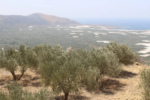 Vue Panoramique Sur Belle Mer Méditerranée Plage Falassarna Prise Sommet — Photo