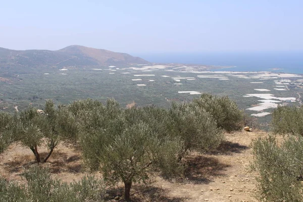 Yunanistan'da Girit adasının batı kesiminde tepenin tepesinden alınan güzel Akdeniz ve Falassarna Plajı panoramik görünümü.