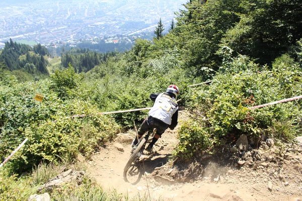 Innsbruck Autriche Août 2015 Cycliste Professionnel Entièrement Équipé Descend Vtt — Photo