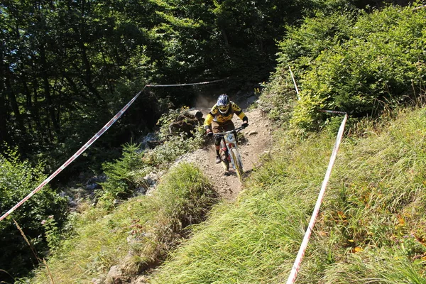 Innsbruck August 2015 Teljesen Felszerelt Profi Kerékpáros Kerékpározik Hegyi Kerékpár — Stock Fotó