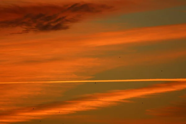 Röd Och Molnig Himmel Vid Solnedgången Bregenz Österrike — Stockfoto
