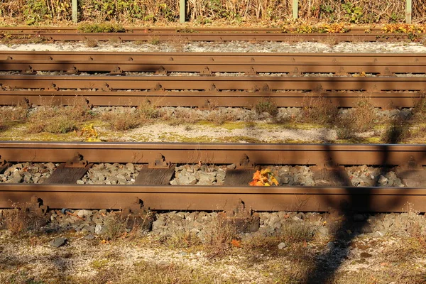 오스트리아 아를베르크 브레겐츠에 브레겐츠 기차역의 철도선 — 스톡 사진