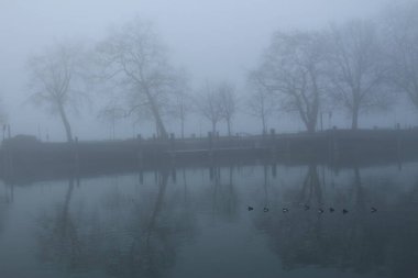 Bregenz, Vorarlberg, Avusturya 'da Constance Gölü' nde (Bodensee) sisli hava.