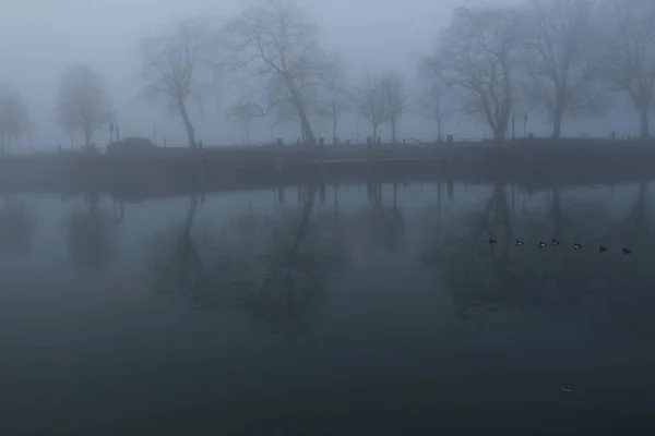 Foggy weather in Lake Constance (Bodensee) in Bregenz, Vorarlberg, Austria.