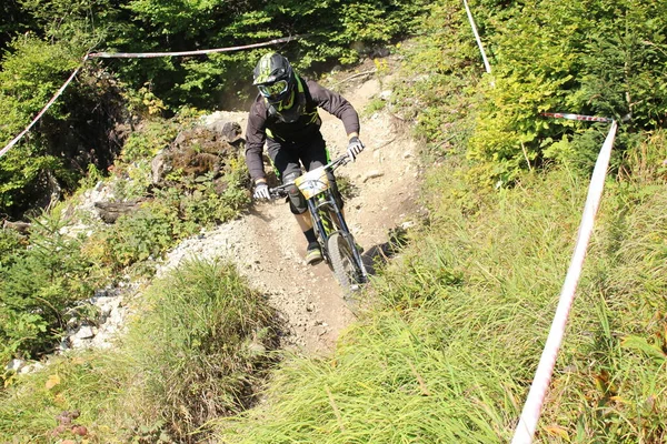 Innsbruck Österreich August 2015 Vollausgerüstete Radprofis Fahren Beim Nordkette Downhill — Stockfoto