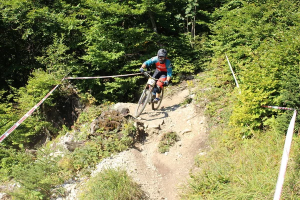 Innsbruck Österreich August 2015 Vollausgerüstete Radprofis Fahren Beim Nordkette Downhill — Stockfoto