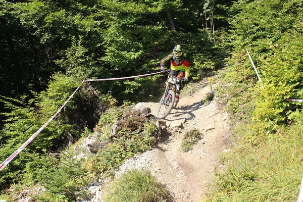 Innsbruck Austria Agosto 2015 Ciclista Profesional Totalmente Equipado Está Montando — Foto de Stock