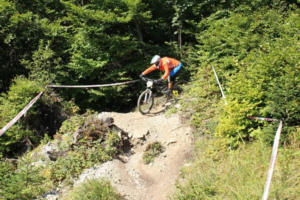 Innsbruck Autriche Août 2015 Cycliste Professionnel Entièrement Équipé Descend Vtt — Photo