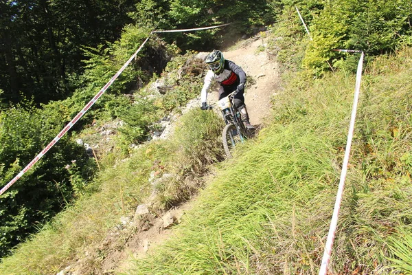 Innsbruck Österreich August 2015 Vollausgerüstete Radprofis Fahren Beim Nordkette Downhill — Stockfoto