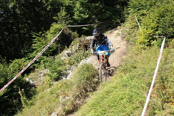Innsbruck Österreich August 2015 Vollausgerüstete Radprofis Fahren Beim Nordkette Downhill — Stockfoto