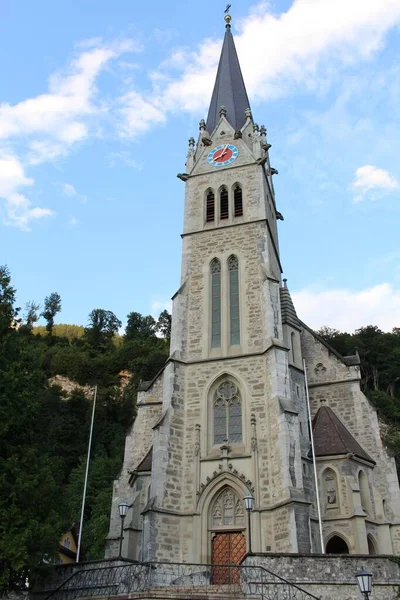 Katedralen Florin Eller Vaduz Katedralen Vaduz Liechtenstein Europa Den Byggdes — Stockfoto