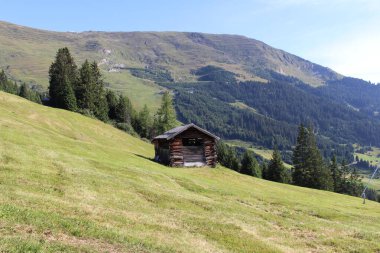 Fiss, Tirol, Avusturya 'da yeşil çayırlı Alp dağlarında ahşap bir kayak kulübesi.. 