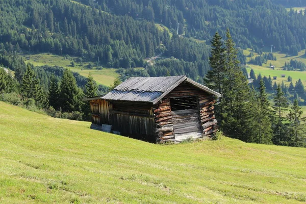Dřevěná Lyžařská Chata Horách Alp Zelenou Loukou Fiss Tyrolsko Rakousko — Stock fotografie