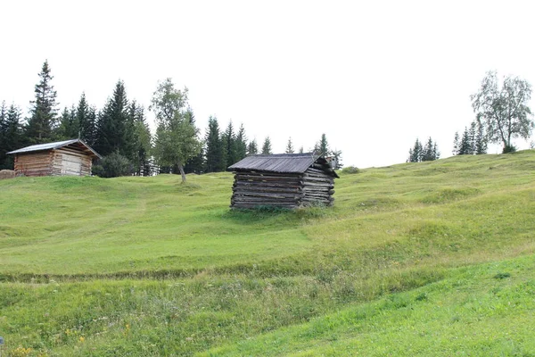 フィス チロル オーストリアに緑の牧草地があるアルプスの山々に木製のスキー小屋 — ストック写真