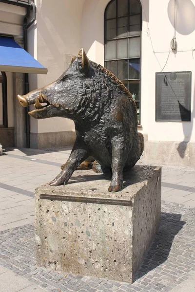 München August 2015 Eine Bronzene Wildschweinskulptur Vor Dem Deutschen Jagd — Stockfoto