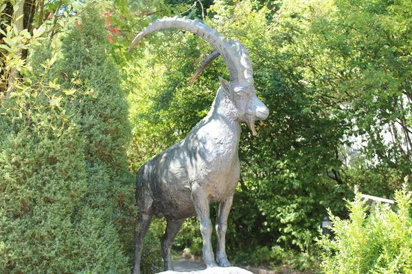 Innsbruck Austria August 2015 Alpine Ibex Sculpin Entrance Alpine Zoo — 图库照片