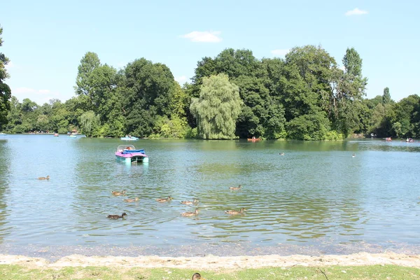 Kleinhesseloher Lake English Garden Englischer Garten Munique Alemanha — Fotografia de Stock