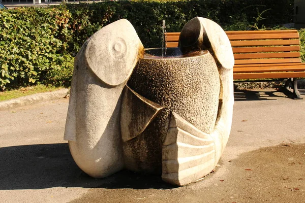 Innsbruck Austria August 2015 Stone Fish Sculptures Together Fountain Pedestrian — 图库照片