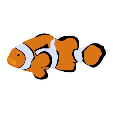 İzole edilmiş renkli 