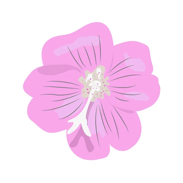 Isolated "Great Willowherb" flower (or Great Hairy Willowherb, Codlins and Cream, Apple Pie) - Eps10 vector graphics and illustration — Stock Illustration Isolated Great Willowherb Flower Great Hairy Willowherb Codlins Cream Apple Stock Illustration