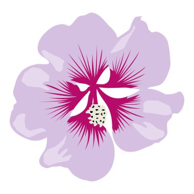 Beyaz arka planda menekşe ve bordeaux yaprakları bulunan güzel izole 