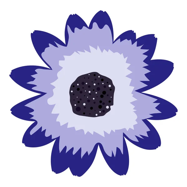 Fiore Daisybush Disegnato Isolato Mano Con Petali Blu Scuro Azzurro — Vettoriale Stock