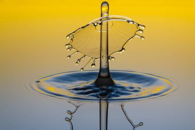 Wassertropfen als Pilz - Liquid Art - Tropfenform