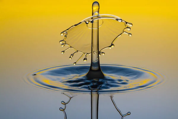 Wassertropfen als Pilz - Liquid Art - Tropfenform — Stockfoto