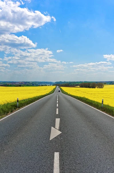 Asphalt Road Yellow Flowers Field Countryside Coming Mark — Stock Photo, Image