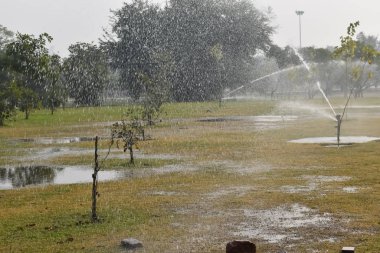 bahçe fıskiyesi gün ışığının yanında