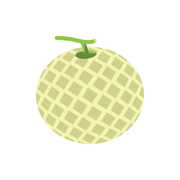 Cute Melon icon for banner, general design print and websites. I — 스톡 벡터