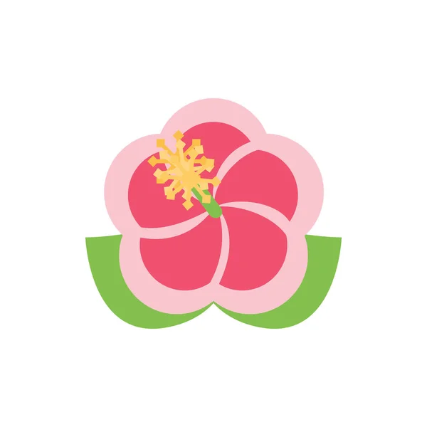 Hibiscus flowers ICON for banner, general design print and websi — Stock Vector