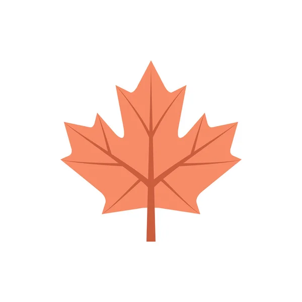 Maple leaf Ikon för banner, allmän design tryck och webbplatser. Jag — Stock vektor