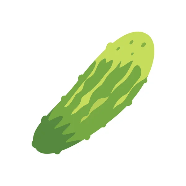 Lindo Icono Pepino Para Banner Impresión Diseño General Sitios Web — Vector de stock