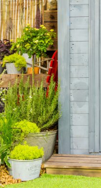 Rahatlatıcı rahat Bahçe alanında.