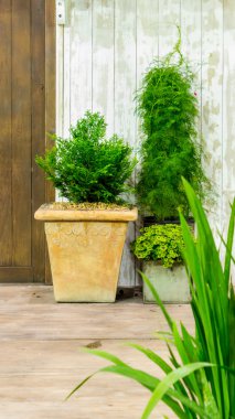 Rahatlatıcı rahat ev alanında.