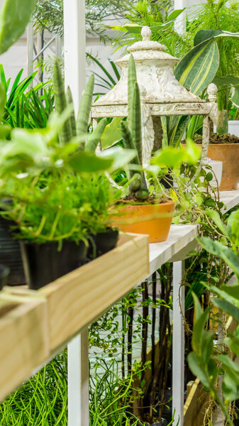 Отдых в уютном саду
