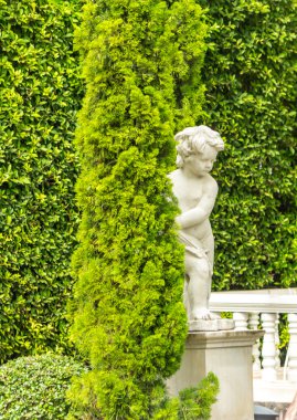 Rahatlatıcı rahat Bahçe uzayda.