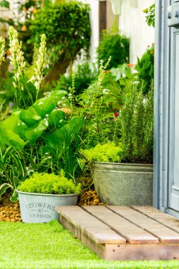 Rahatlatıcı rahat ev alanında.