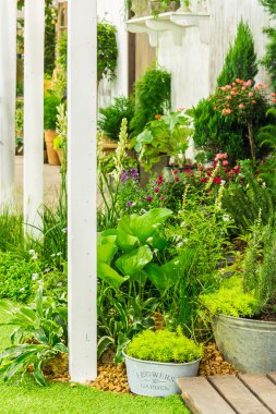 Rahatlatıcı rahat ev alanında.