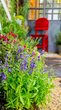 Rahatlatıcı rahat Bahçe alanında.